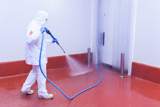 Best Sign and Awning Cleaning  in Frisco, TX